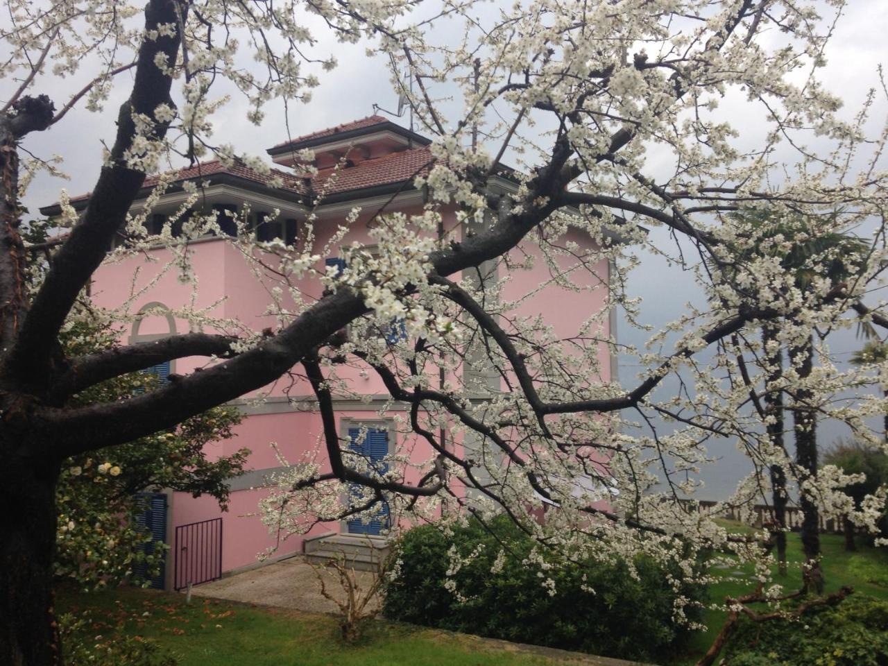 Villa Maria Lago Maggiore Reno Di Leggiuno エクステリア 写真